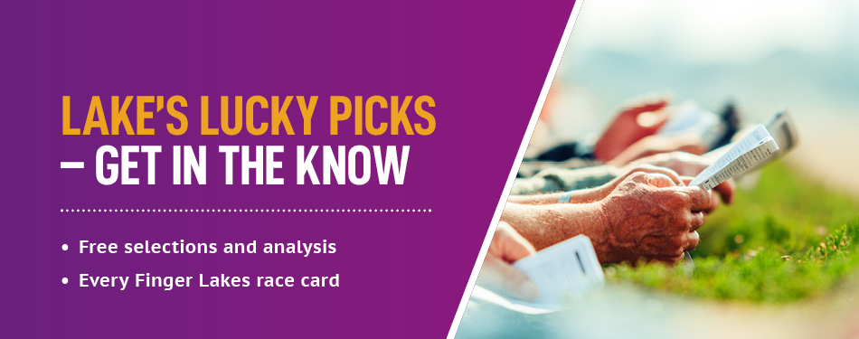 Lucky’s Picks