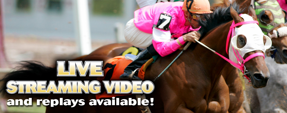 Live Video and Video Replays
